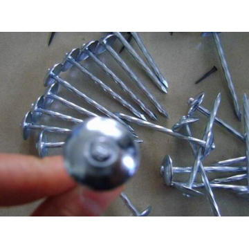 Galvanized Twisted Shank Roofing Nails